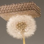 <b>World's Lightest Material</b>