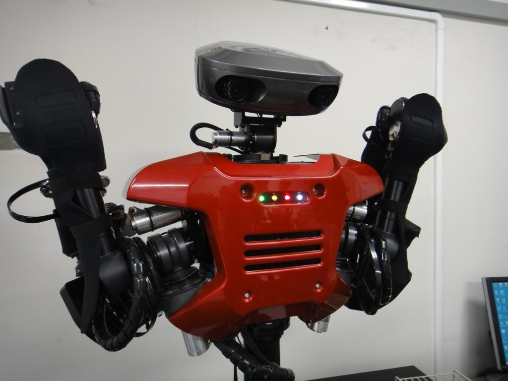 Intelligent Humanoid Robot