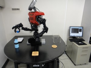 Intelligent Humanoid Robot