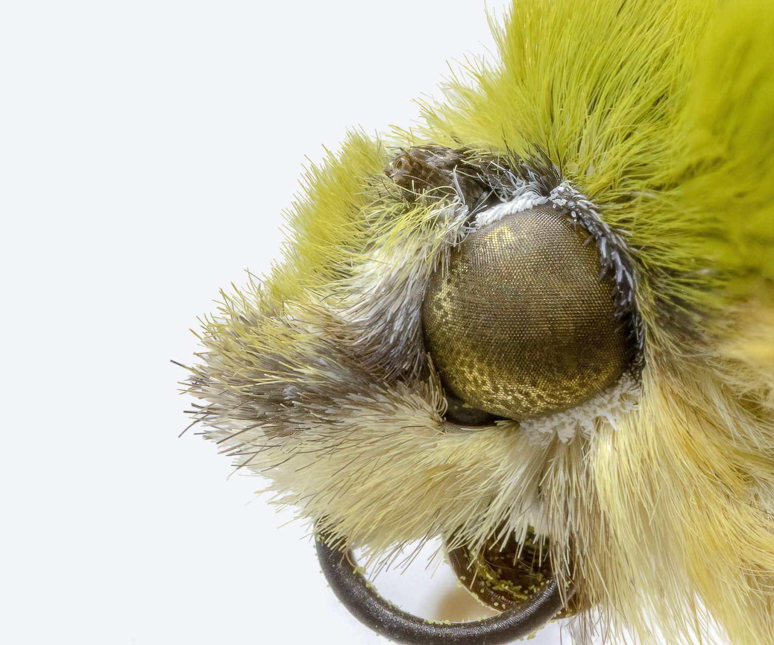From Moth Eyes To Anti Icing Aircrafts New Technology News